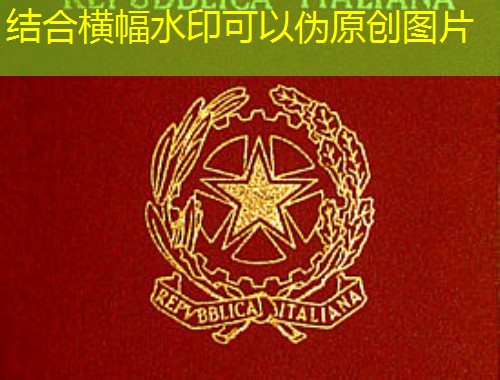 土耳其办理移民中介机构：如何挑到真正靠谱的“引路人”？